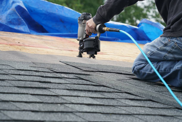 Best Roof Gutter Cleaning  in Grape Creek, TX